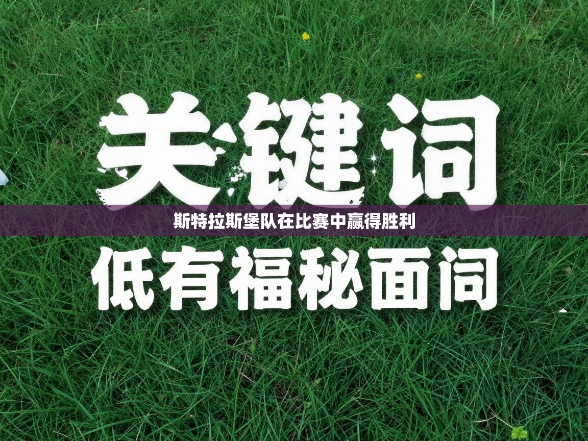 斯特拉斯堡队在比赛中赢得胜利  第1张